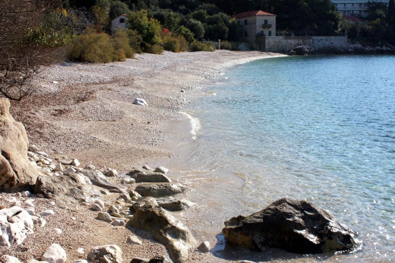Apartments With A Parking Space Plat, Dubrovnik - 4776 Mlini Exteriör bild