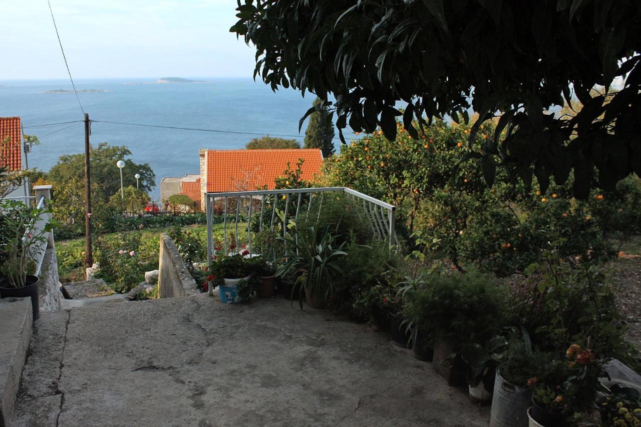 Apartments With A Parking Space Plat, Dubrovnik - 4776 Mlini Exteriör bild
